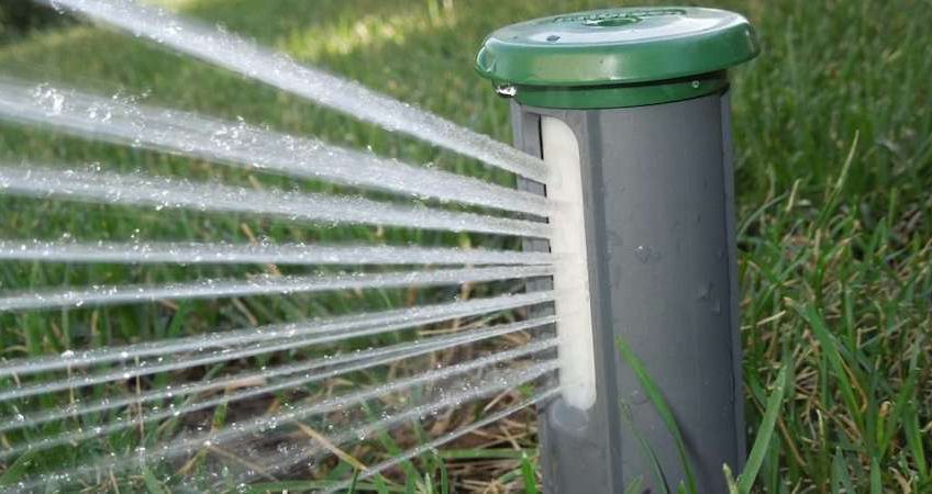 when to water turfgrass sod delea sod farms
