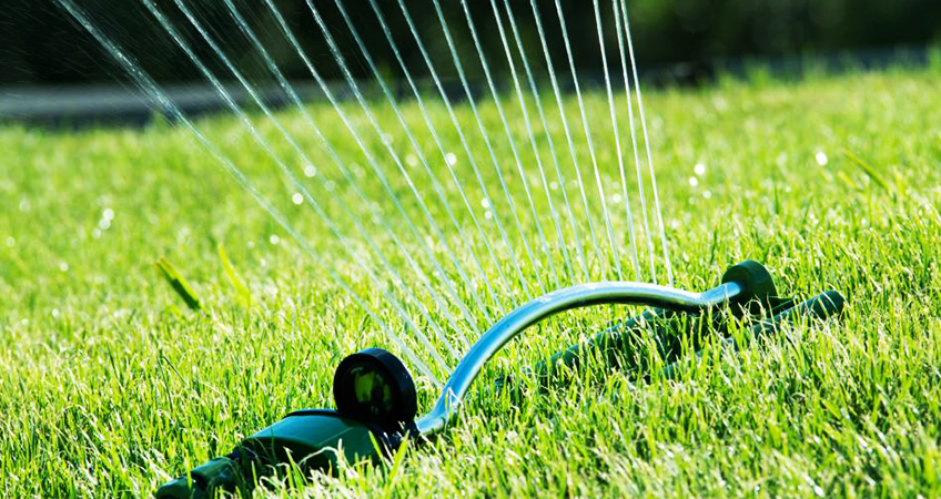 how much water does your lawn need Delea Sod Farm Long Island